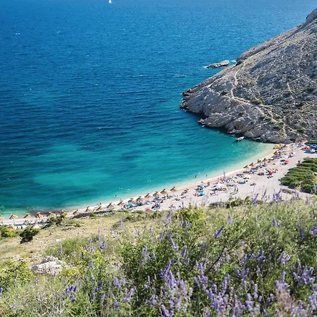 2 Bedroom In Apartment